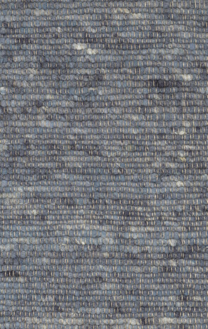 Ctychi-1155